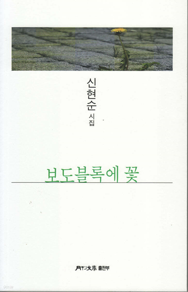 보도블록에 꽃