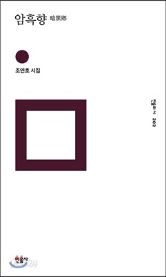 암흑향