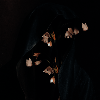 Hail The Void — Memento Mori 앨범 커버