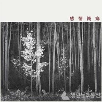 [신해경] 신해경 - 감정둔마 (CD)