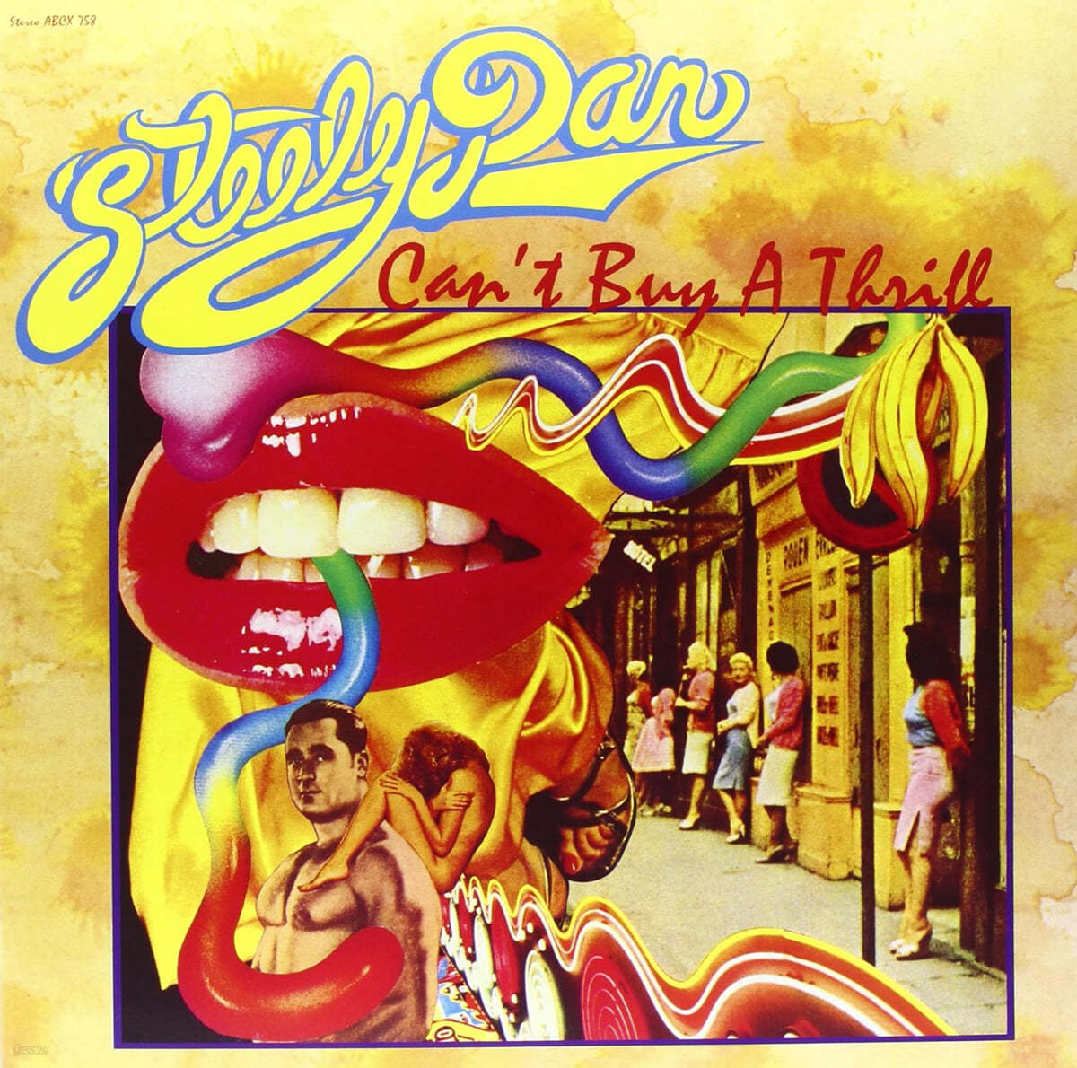 Steely Dan (스틸리 댄) - Can't Buy A Thrill [LP]