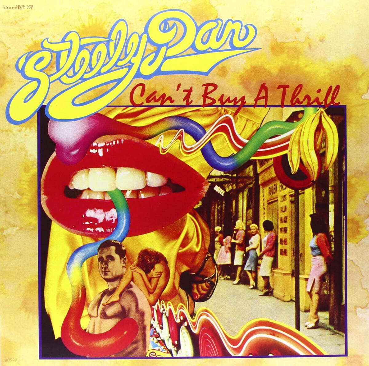 Steely Dan (스틸리 댄) - Can't Buy A Thrill [LP]