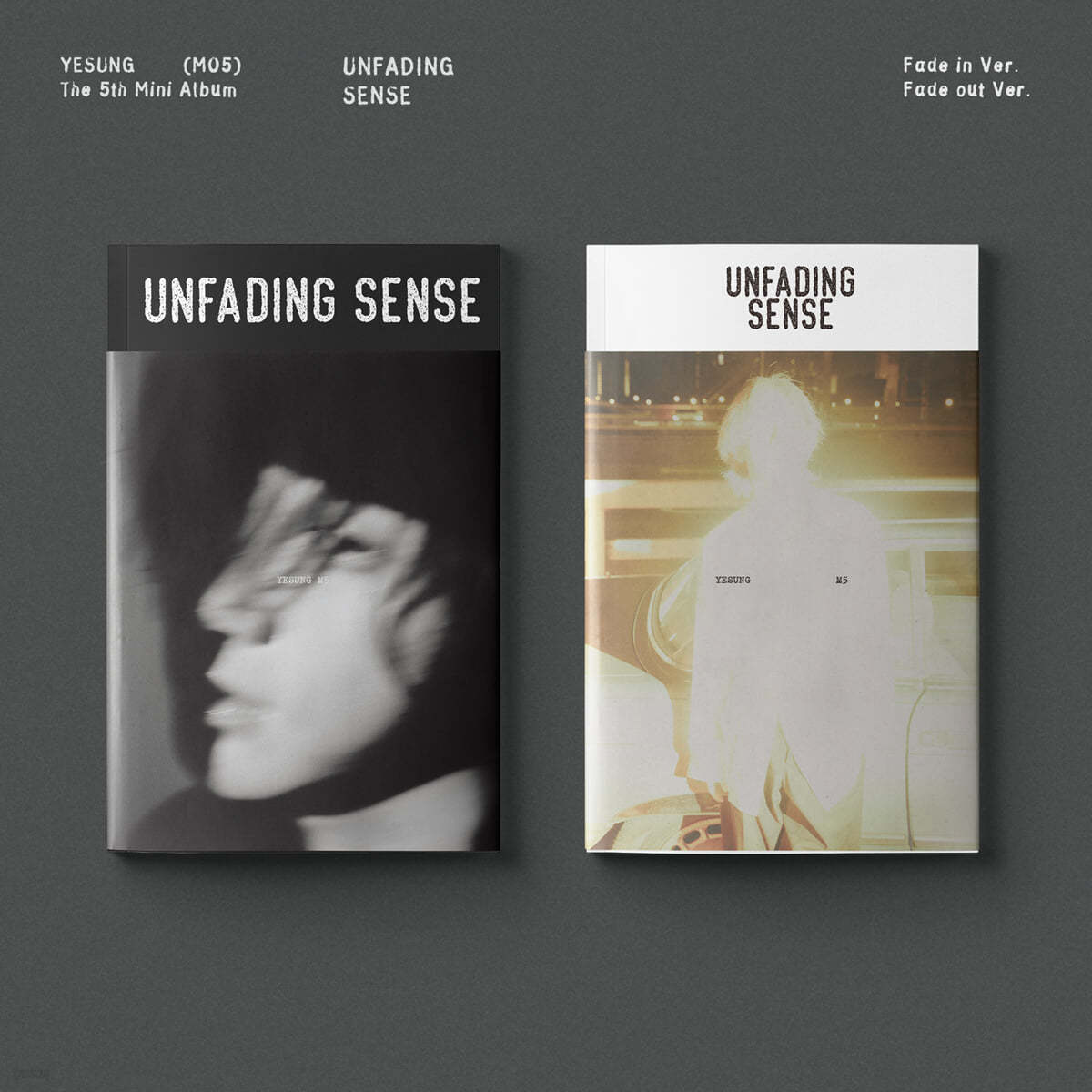 예성 (Yesung) - 미니앨범 5집 : Unfading Sense [Photo Book Ver.][2종 중 1종 랜덤발송]