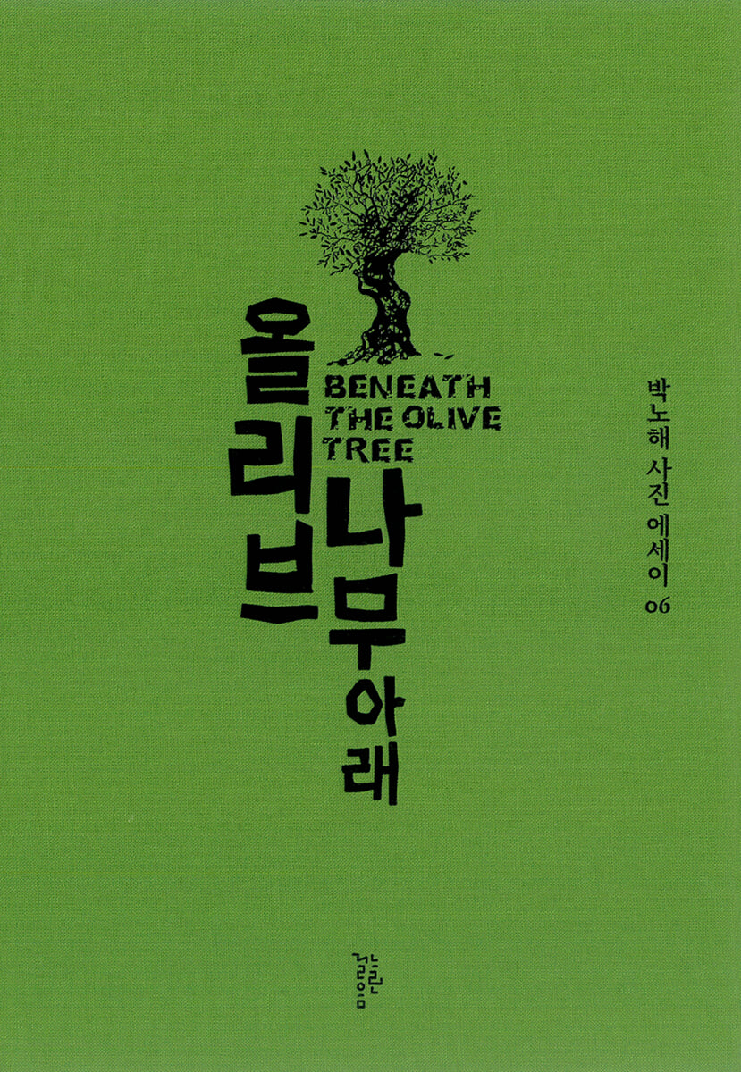 올리브나무 아래