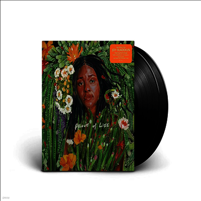 Joy Oladokun — Proof Of Life 앨범 커버