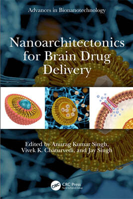 Nanoarchitectonics for Brain Drug Delivery