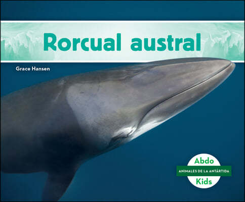 Rorcual Austral