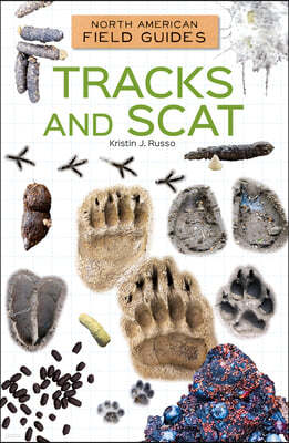 Tracks and Scat