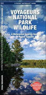 Voyageurs National Park Wildlife: A Folding Pocket Guide to Native Species