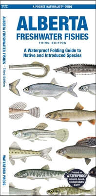 Alberta Freshwater Fishes: A Folding Guide to Native and Introduced Species