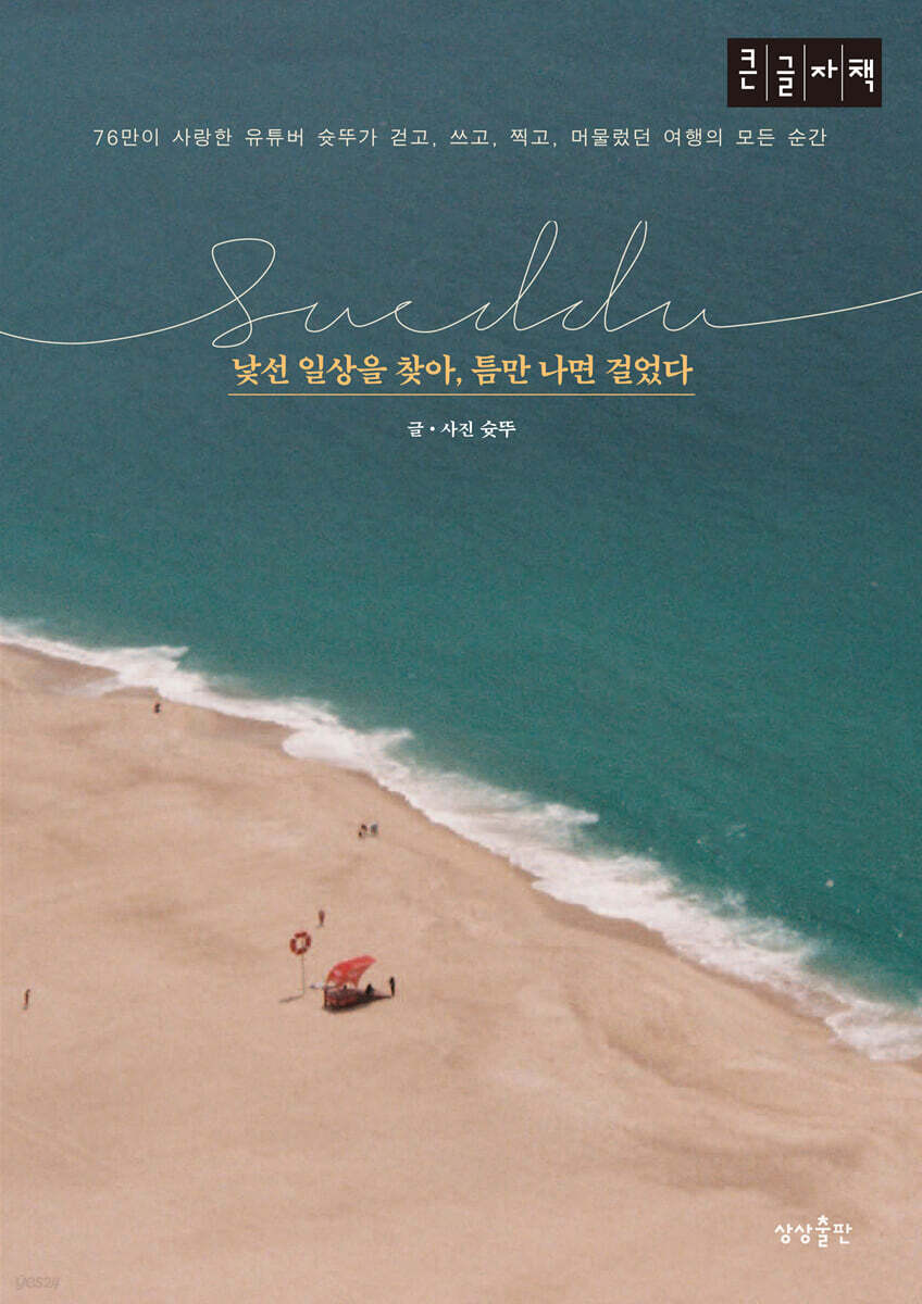낯선 일상을 찾아, 틈만 나면 걸었다 (큰글자도서)