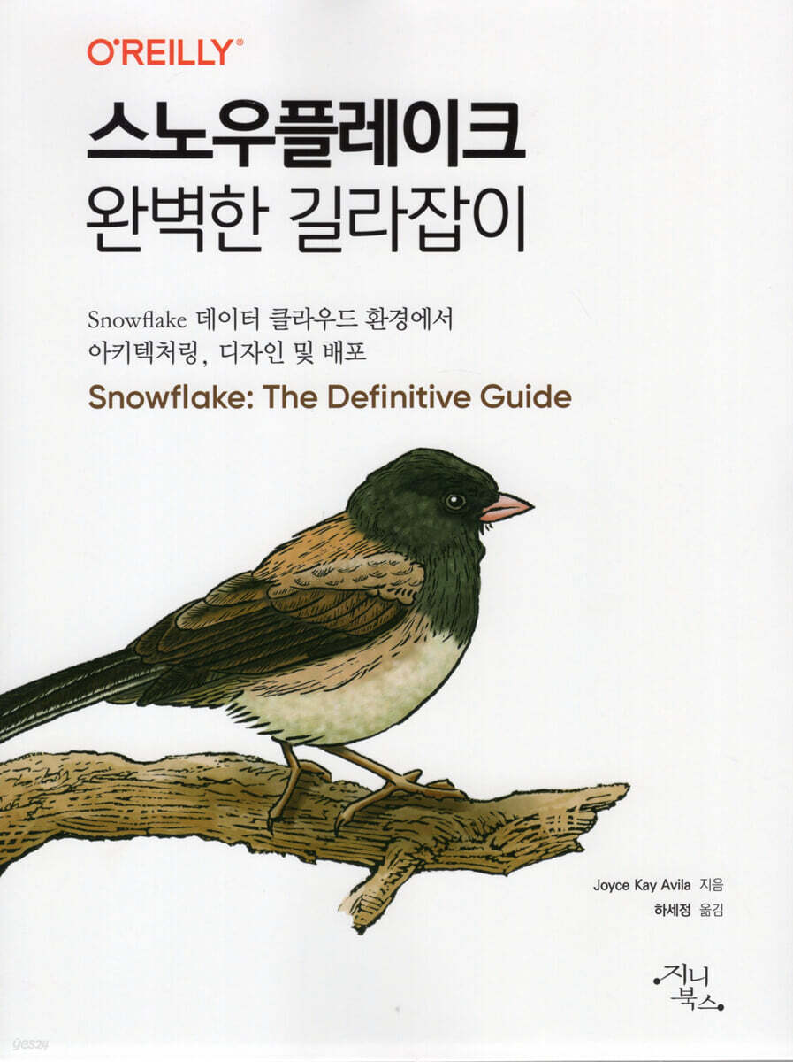 스노우플레이크 완벽한 길라잡이 | Joyce Kay Avila | 지니북스 - 예스24