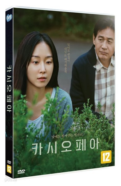 카시오페아(1Disc)