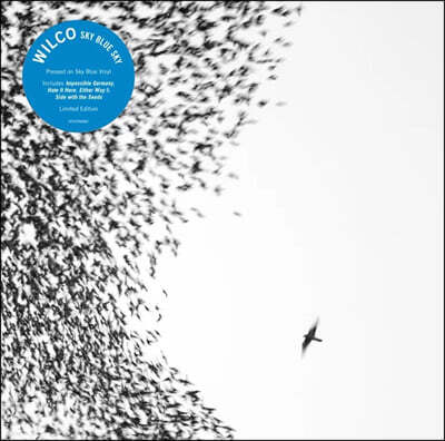 Wilco — Sky Blue Sky 앨범 커버