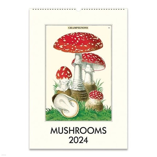 2024 Ķ Mushrooms