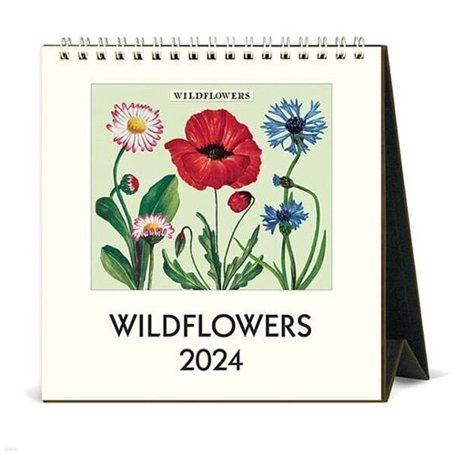 2024 ũĶ Wildflowers