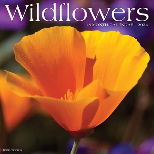 2024 Ķ Wildflowers