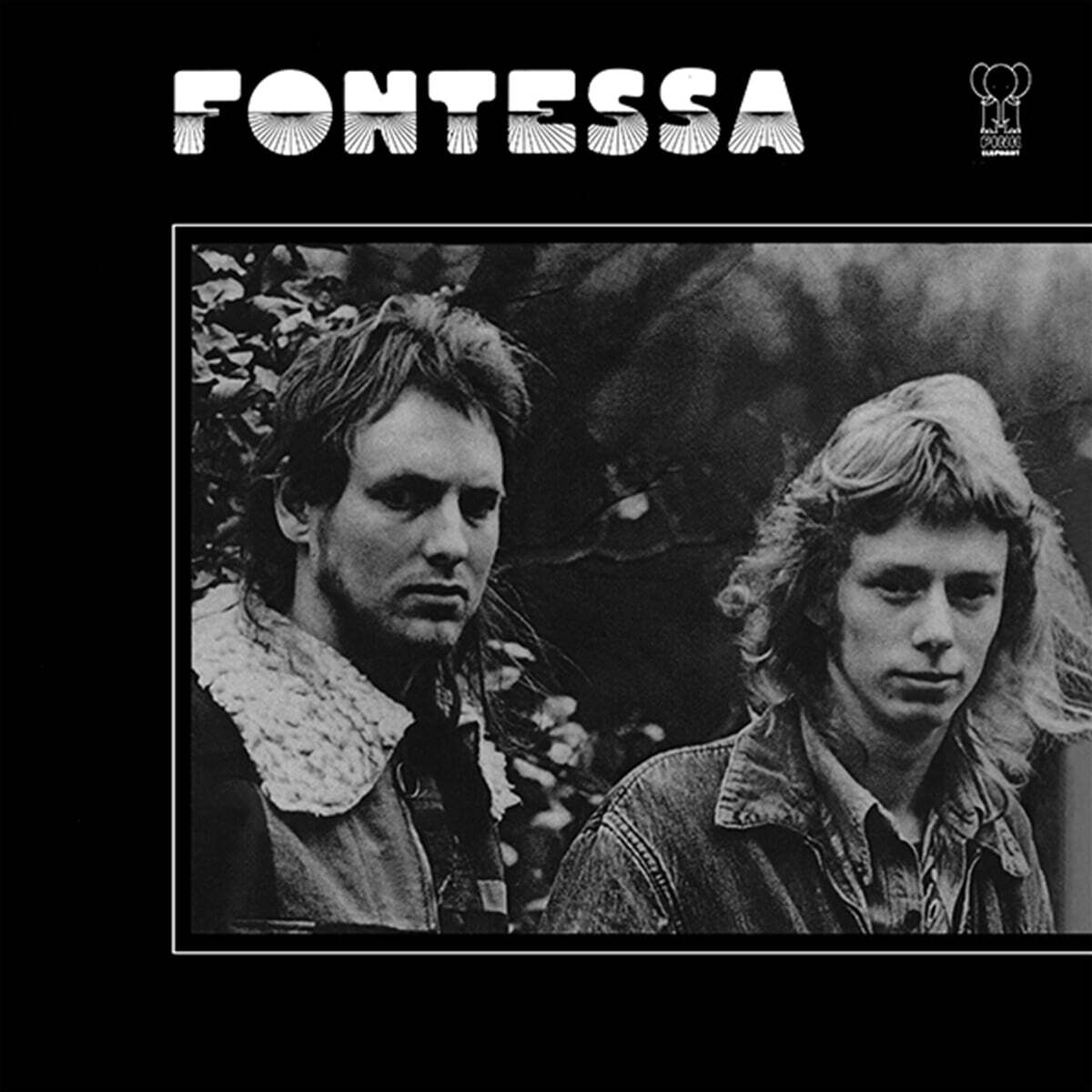 Fontessa (폰테사) - Fontessa