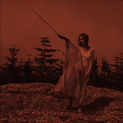 Unknown Mortal Orchestra — II 앨범 커버