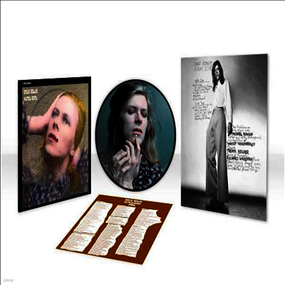David Bowie — Hunky Dory (50th Anniversary Edition) 앨범 커버