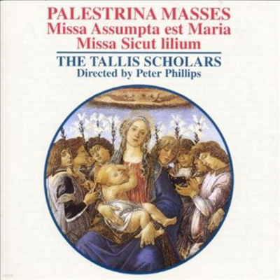 ȷƮ : ̻ (Palestrina : Masses)(CD) - Peter Phillips