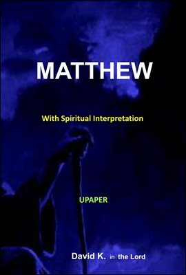 Matthew Interpretation Book