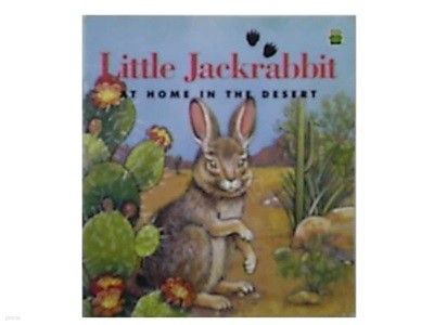 Little Jackrabbit: At Home In The Desert (Leap Frog) paperback