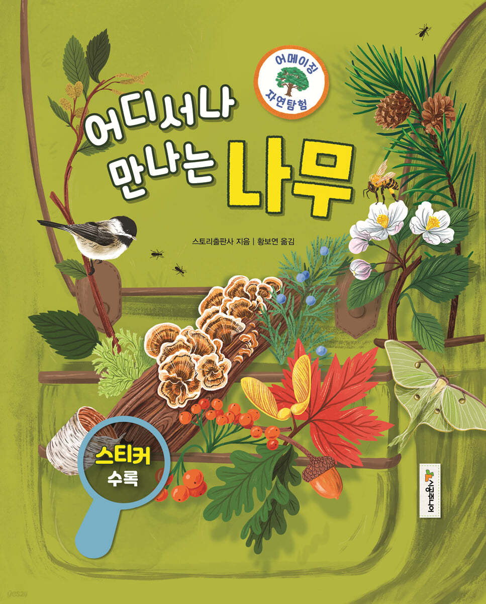 어메이징 자연탐험 : 나무