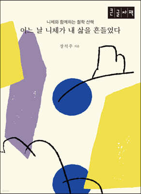 어느 날 니체가 내 삶을 흔들었다 (큰글자책)