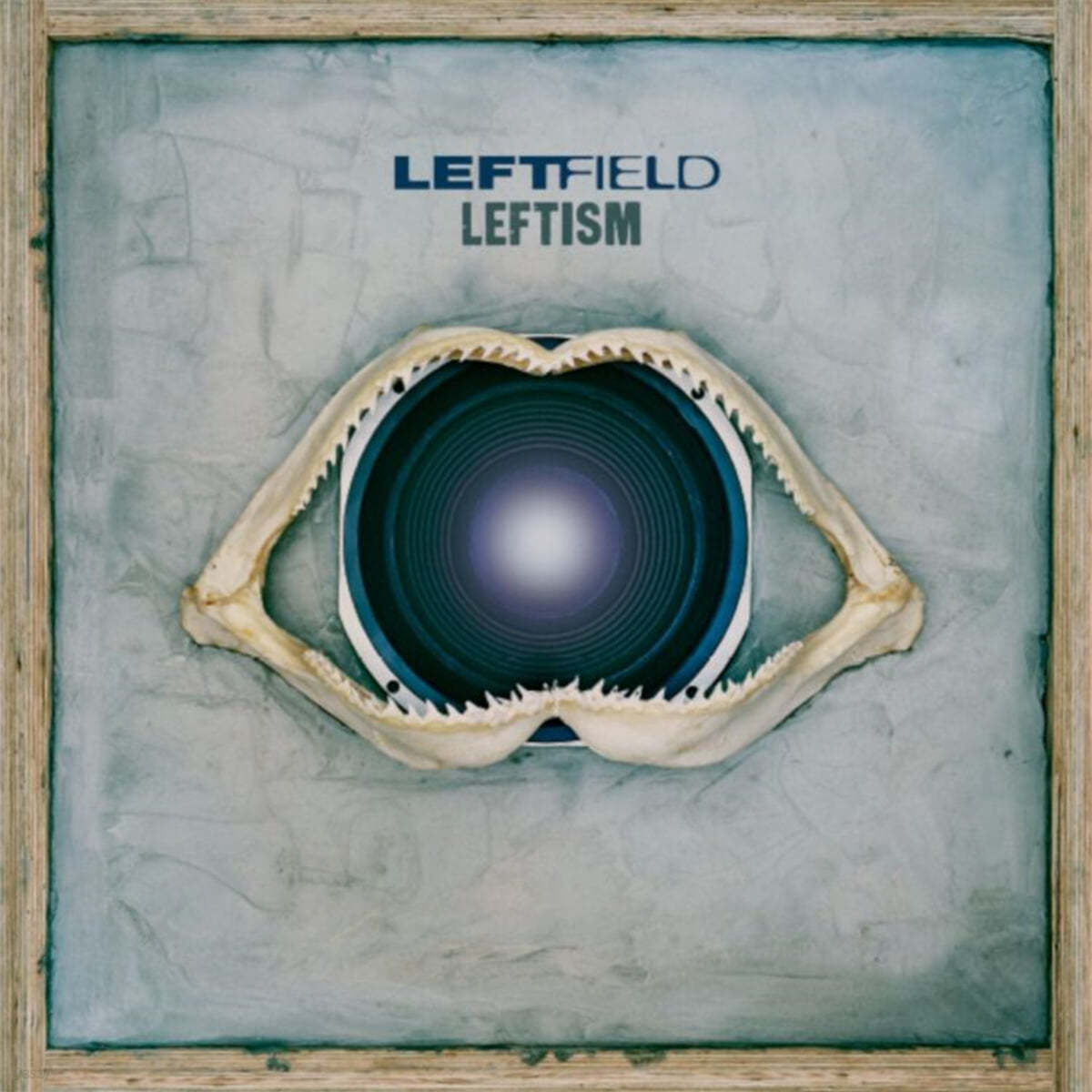 Leftfield (레프트필드) - Leftism [블랙 & 화이트 마블 컬러 2LP]