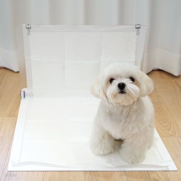 강아지 배변판 화장실 배변매트 아크릴 대형
