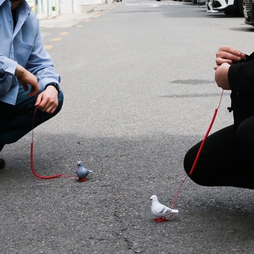 YES24발송 GIFT상품 [예스24배송] 반려 비둘기 세트 애완 인형 [움직이는 쓸데없는 쓸모없는 웃긴 선물 장난감 킹받는 친구 필요없는 무쓸모 태엽]