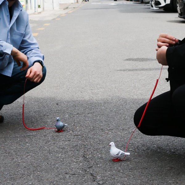 [예스24배송] 반려 비둘기 세트 애완 인형 [움직이는 쓸데없는 쓸모없는 웃긴 선물 장난감 킹받는 친구 필요없는 무쓸모 태엽]