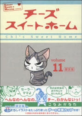 チ-ズスイ-トホ-ム 11 限定版