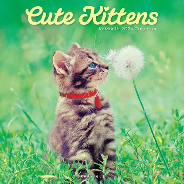 2024 캘린더 Cute Kittens
