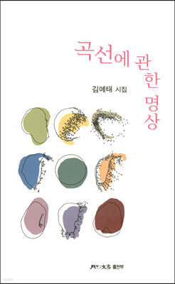 곡선에 관한 명상