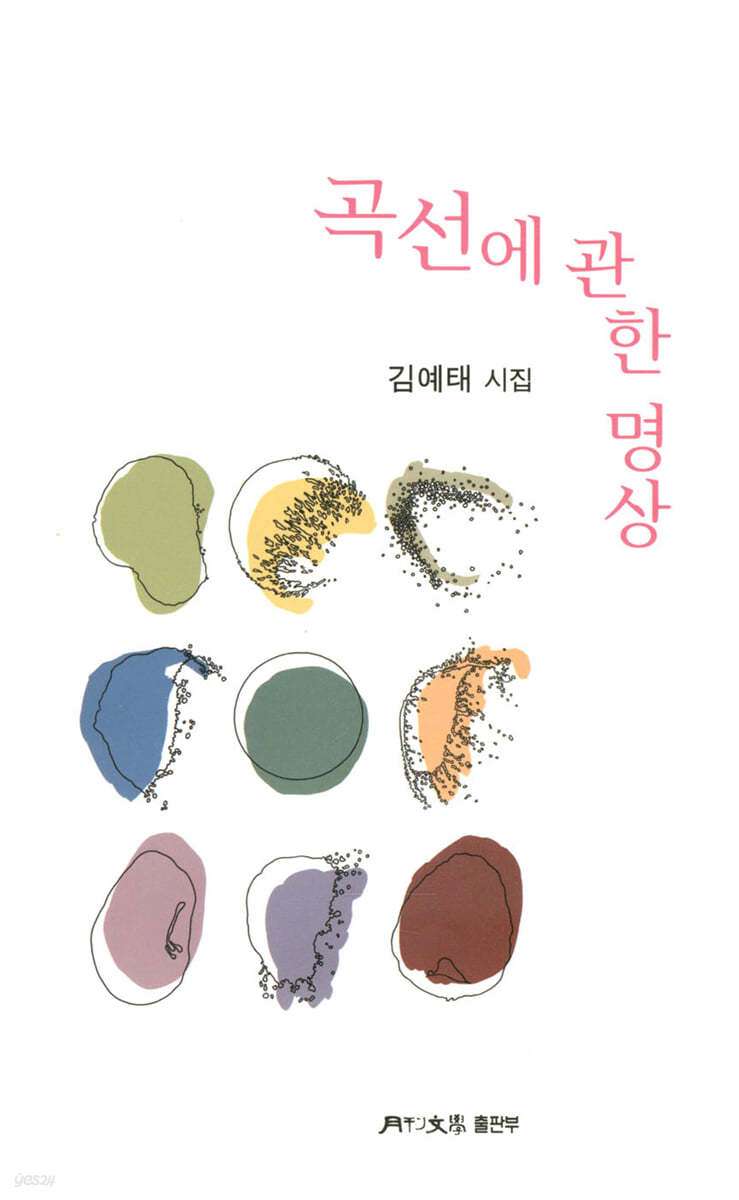 곡선에 관한 명상