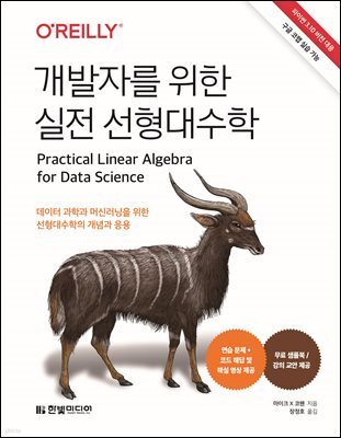 개발자를 위한 실전 선형대수학 : 파이썬 3.10 버전 대응, 구글 코랩 실습 가능 I 연습 문제 + 해답+ 해설 영상, 무료 샘플북 제공