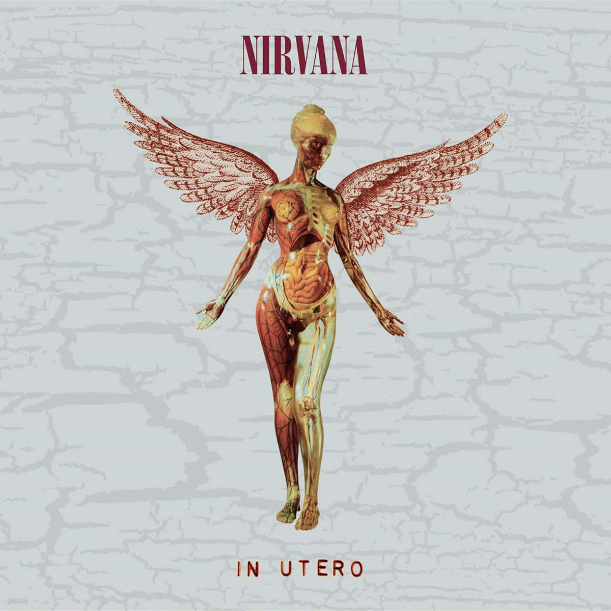 Nirvana (너바나) - 3집 In Utero [Deluxe Edition]