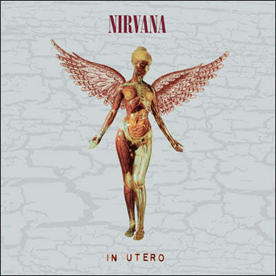 Nirvana (너바나) - 3집 In Utero [Super Deluxe Edition]