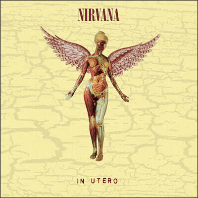 Nirvana — 3집 In Utero [Super Deluxe Edition] 앨범 커버