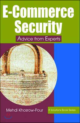 E-Commerce Security: Advice from Experts