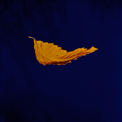 New Order — True Faith (Remastered) 앨범 커버