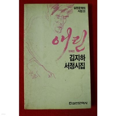 애린-김지하 서정 시집 1,2 권 세트(모두 2권 완결) 1987재판본