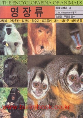 동물대백과 3 영장류 고릴라 오랑우탄 침판지 원숭이 리프몽키 게논 마카쿠 마모셋 외