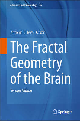 The Fractal Geometry of the Brain