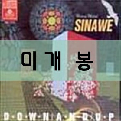 시나위 - 2집 새가 되어 가리(Down And Up)