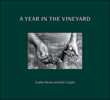 A Year in the Vineyard