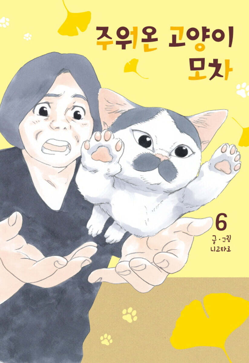 주워온 고양이 모차 6