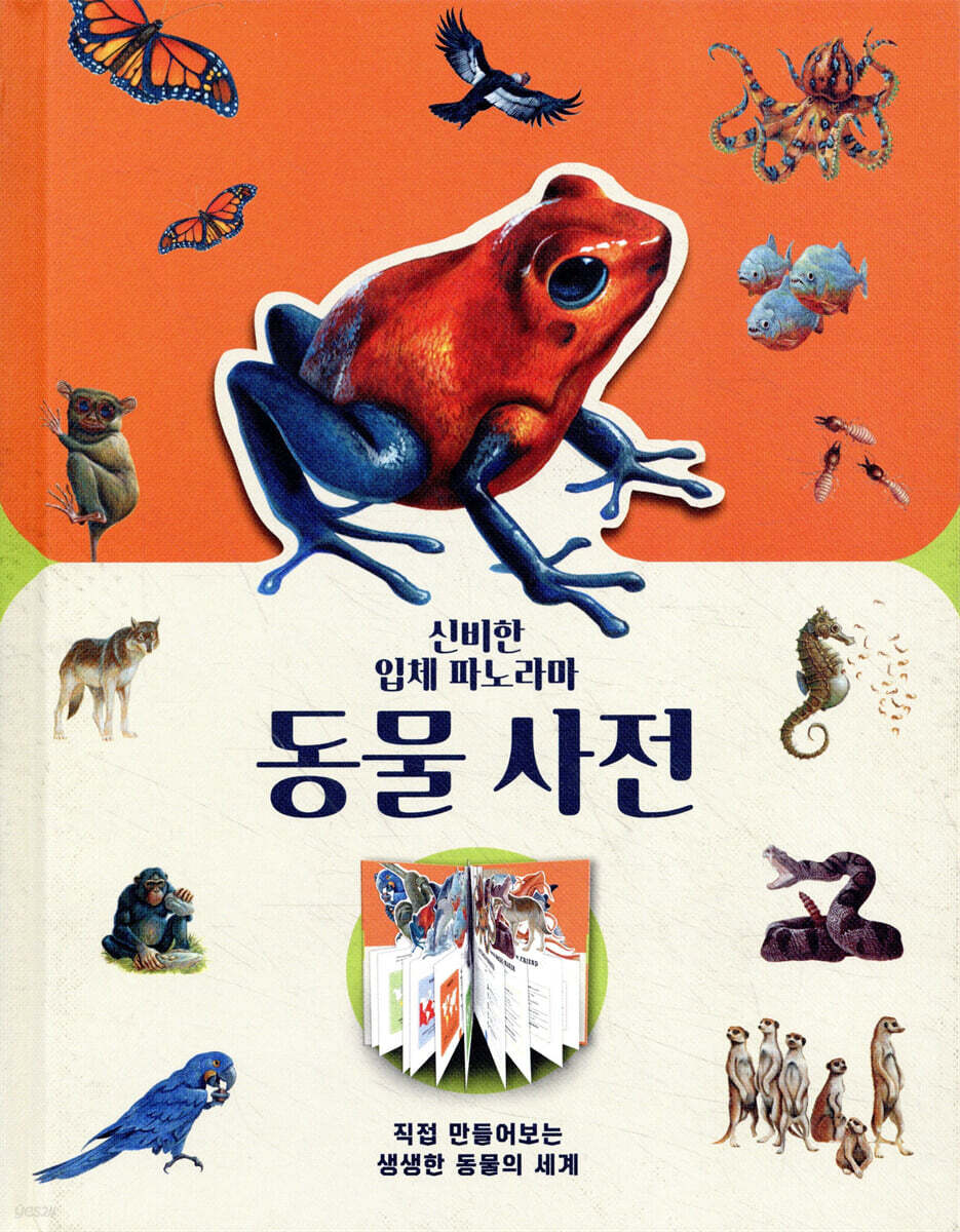 신비한 입체 파노라마 동물 사전